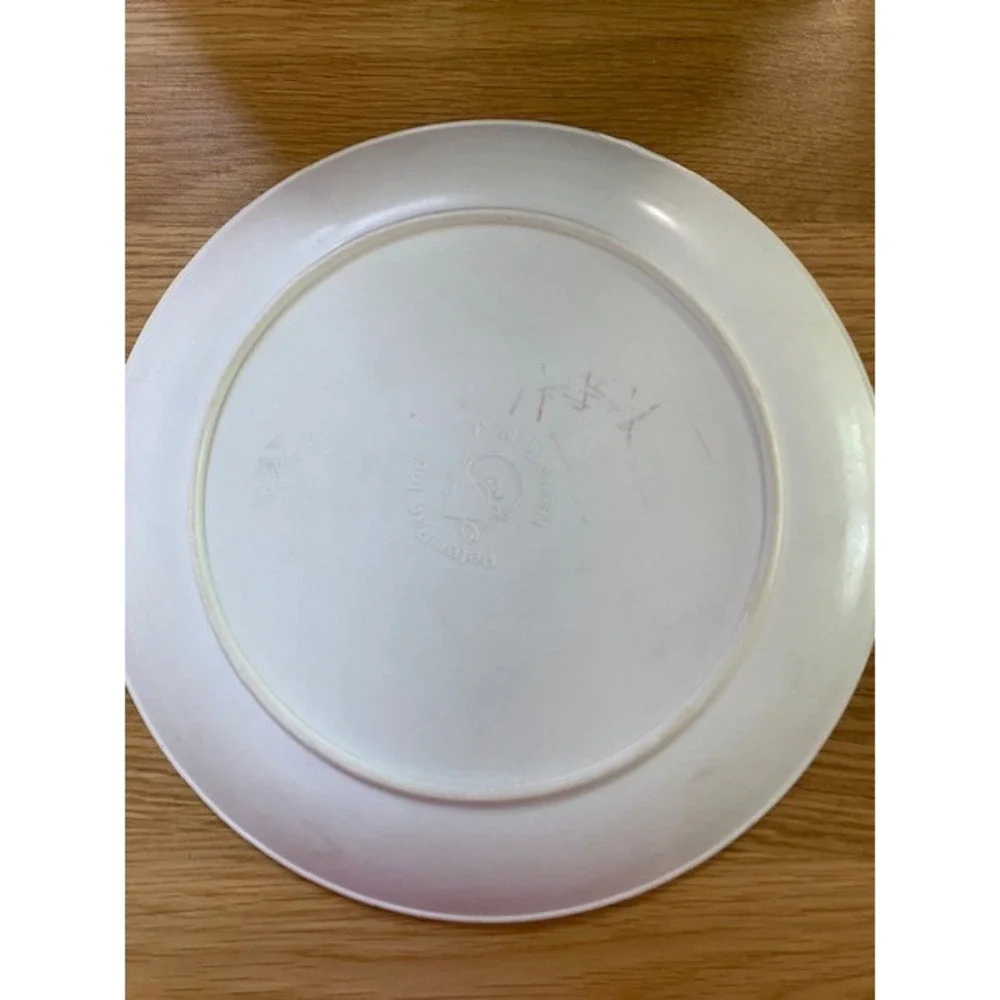 Peter Pan Sesame Street Plate Kids 8in White Good Vintage Melamine Muppets